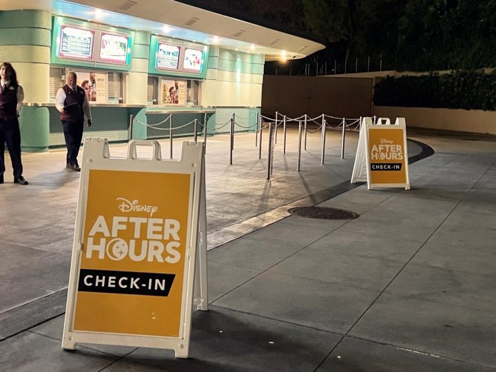 Disney After Hours: Is It Really Worth It?