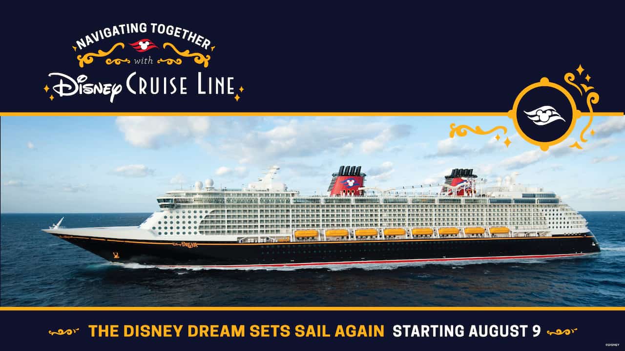 Set of 15 Disney Cruise Line Logo Vinyl Decal 