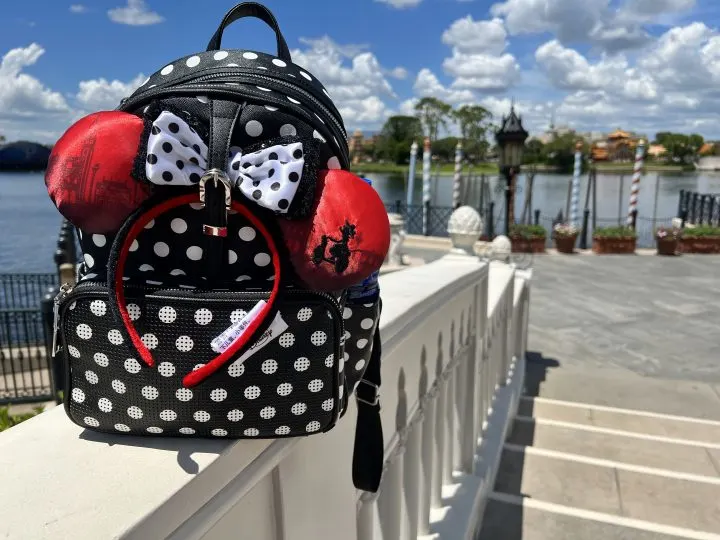 Disney Park Bag Essentials: What to Bring into the Parks