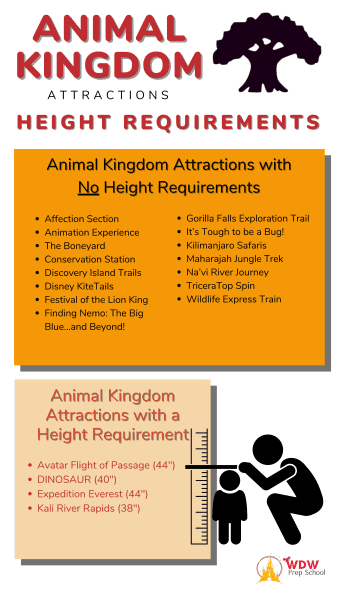 animal kingdom height requirements