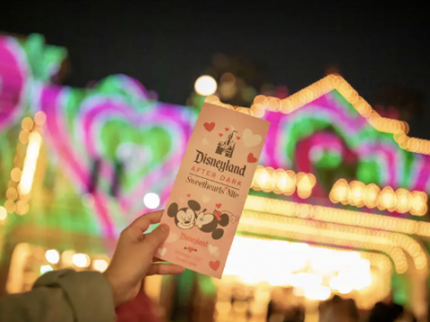 Disneyland After Dark Events Return in 2023 With a New Princess Theme