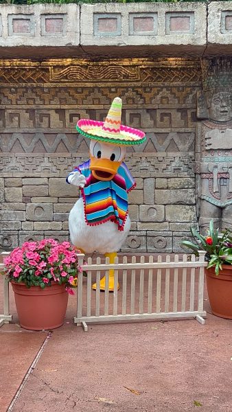 donald duck mexico pavilion epcot