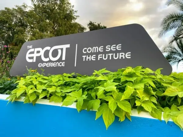 Epcot experience