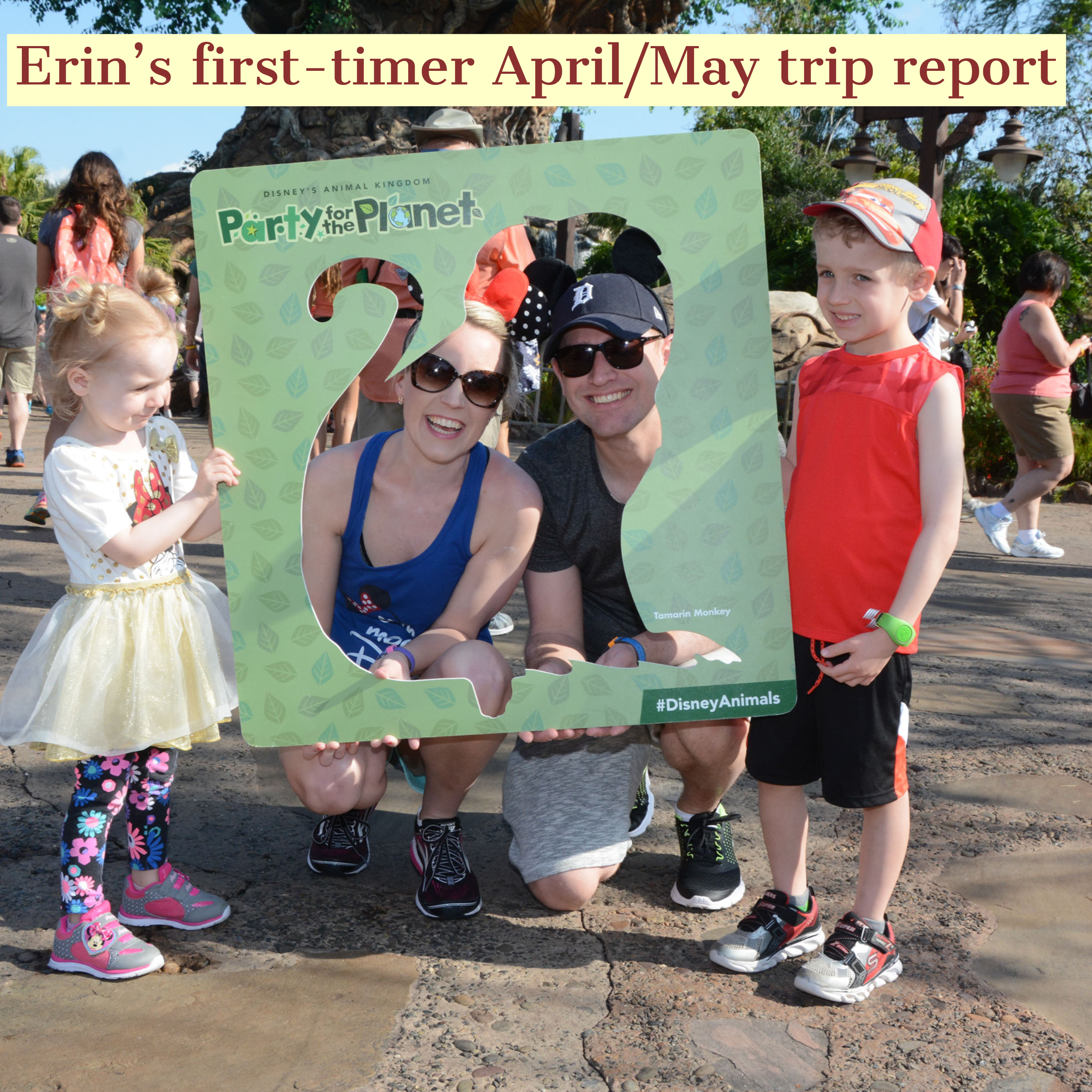 Erin’s first-timer April/May trip report – PREP174