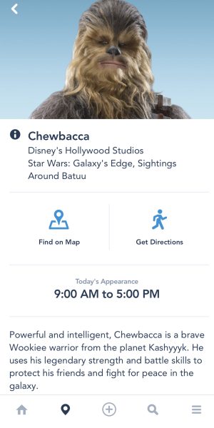 chewbacca sighting hollywood studios