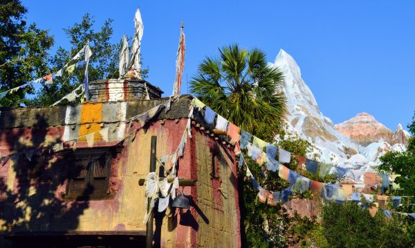 expedition everest flags