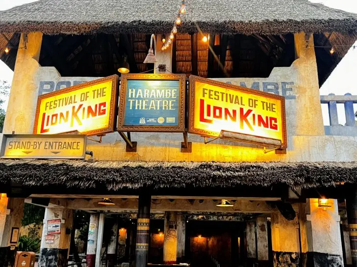 Complete Guide to Festival of the Lion King at Animal Kingdom