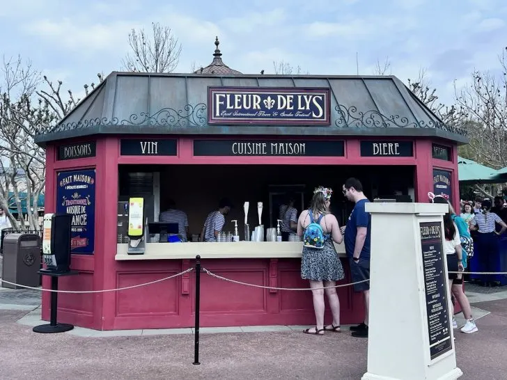 Epcot Flower and Garden Festival and Disney Dining Plan Snack Credits (Best Picks)