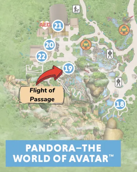 flight of passage location on animal kingdom map
