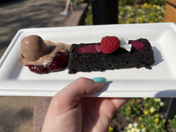 chocolate cake - trowel and trellis - epcot flower and garden