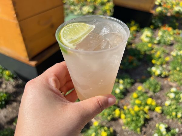 twinings iced green tea - trowel and trellis - epcot flower and garden