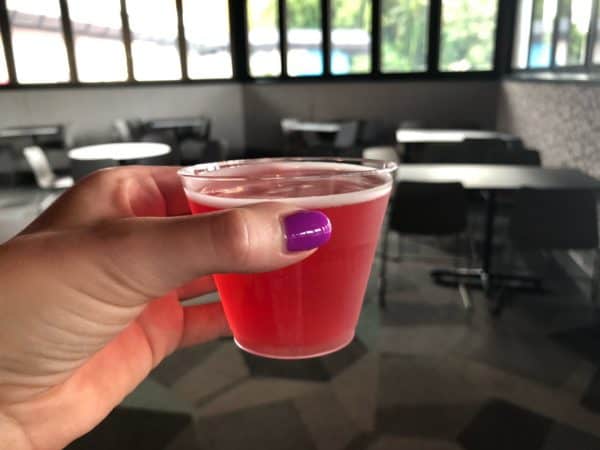 watermelon dragonfruit session sour at epcot food and wine 2021