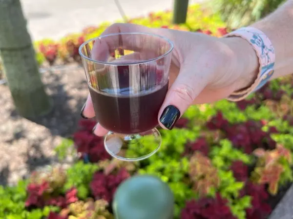 pinot noir - mac and eats - epcot food and wine