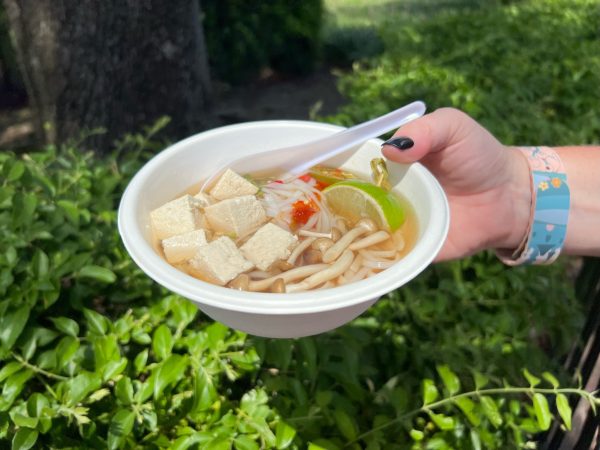 tofu pho - noodle exchange - epcot food and wine