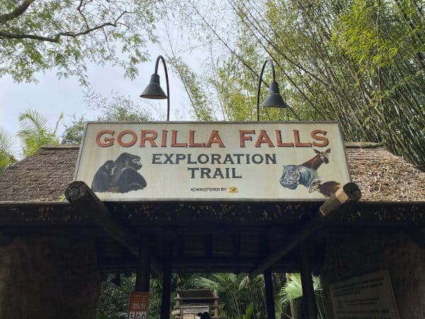 Gorilla Falls Exploration Trail at Animal Kingdom