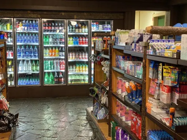 Easy Guide to Grocery Delivery at Disney World — OrlandoParksGuy