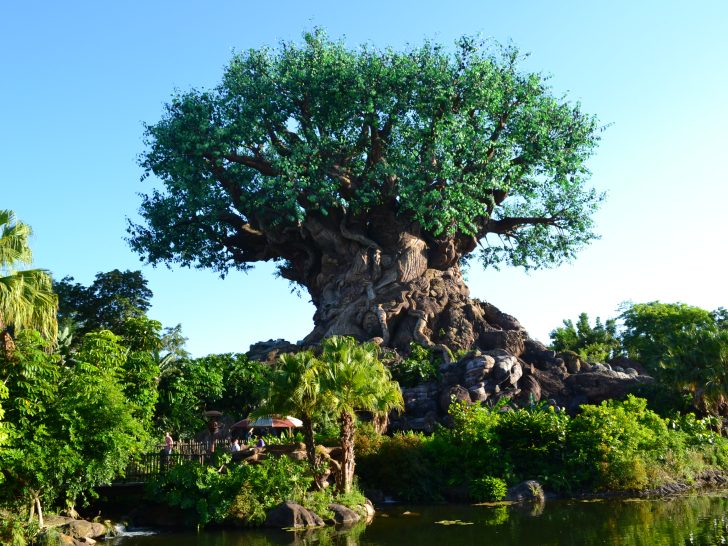 Guide to Using Genie+ Lightning Lanes at Animal Kingdom (Priorities for 2023)