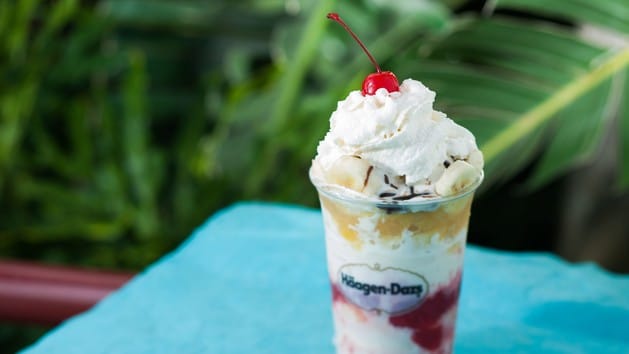 Pros and Cons for All Disney Springs Restaurants - Haagen-Dazs at Disney Springs West Side