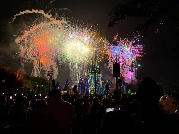 happily ever after fireworks view from dessert party