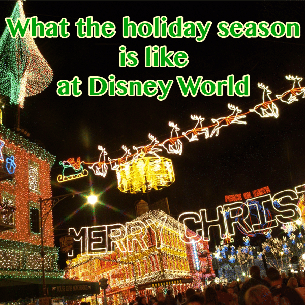 What the holiday season is like at Disney World – PREP063