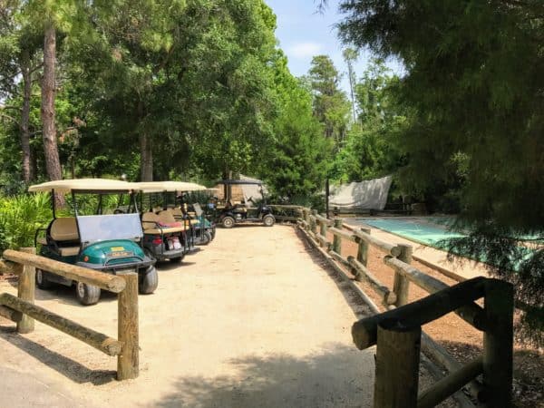 Golf carts at Ft. Wilderness