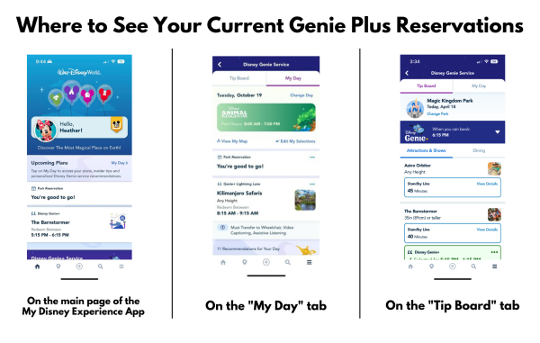Where to see G+ reservations