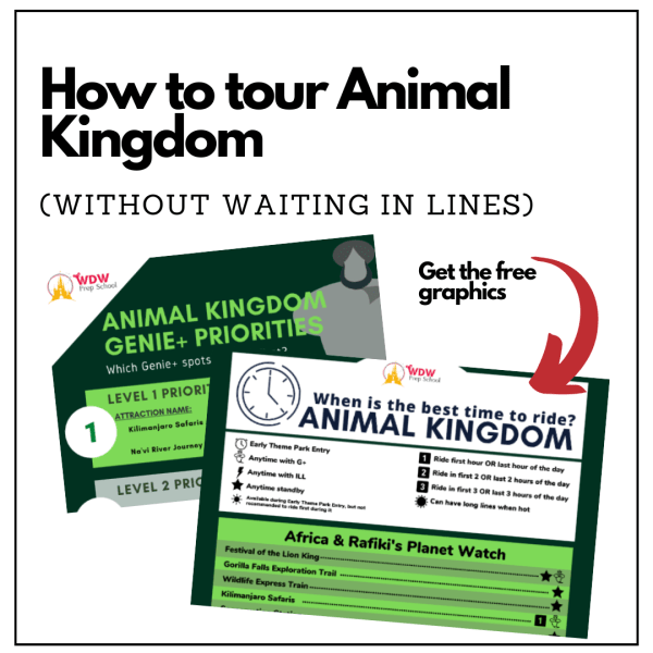 how to tour animal kingdom graphic