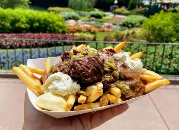 Beef Poutine - Canada