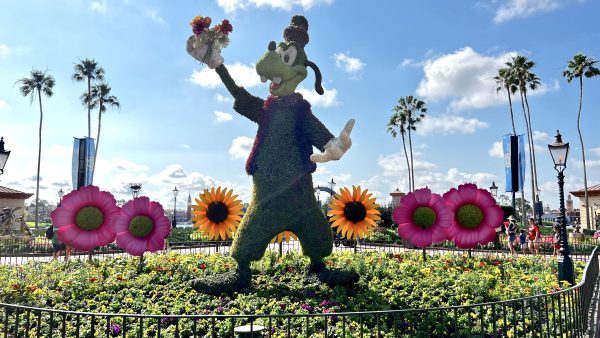 goofy topiary at epcot flower and garden festival