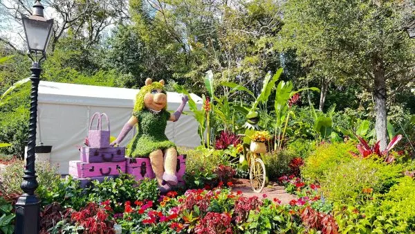 miss piggy and kermit topiaries at epcot flower and garden festival