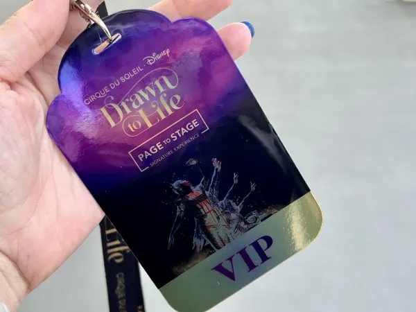VIP tour lanyard for Page to Stage experience
