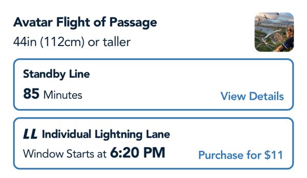 avatar flight of passage individual lighting lane - price