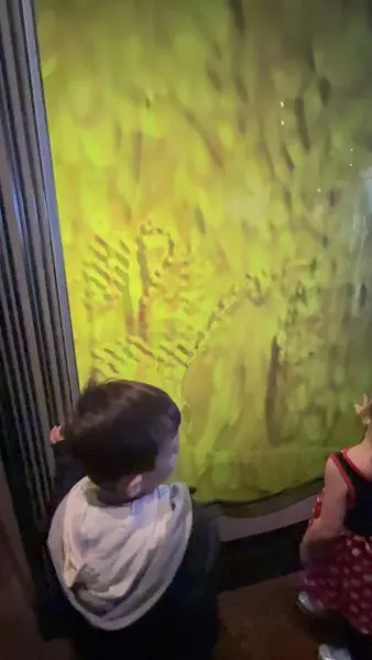 the many adventures of winnie the pooh interactive queue