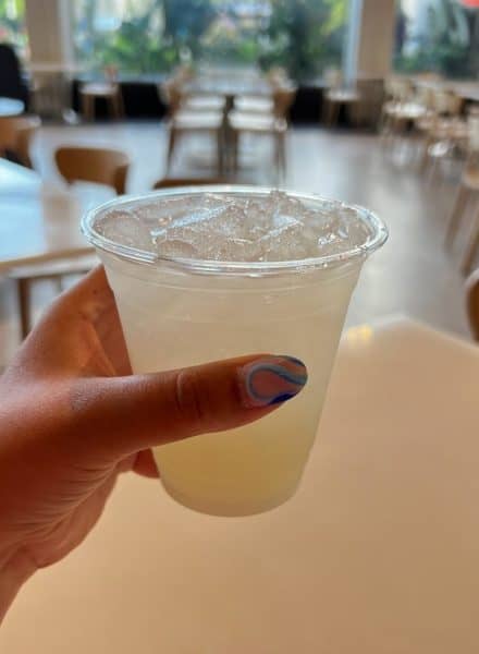 connections eatery - cucumber cooler - Epcot