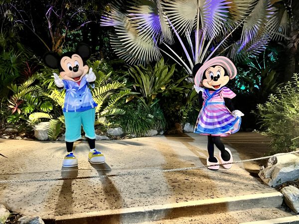 Mickey and Minnie h20 glow after hours