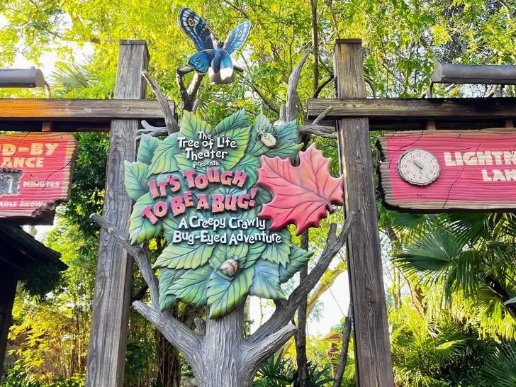 Complete Guide to It’s Tough to be a Bug! at Animal Kingdom