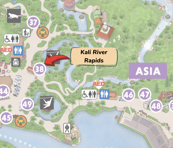 location of kali river rapids at animal kingdom