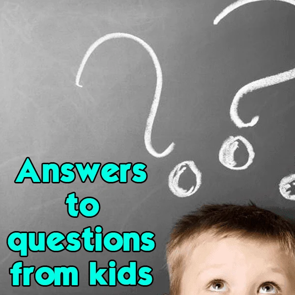 kid questions header 