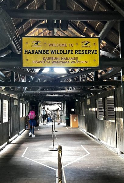 kilimanjaro safaris queue at animal kingdom