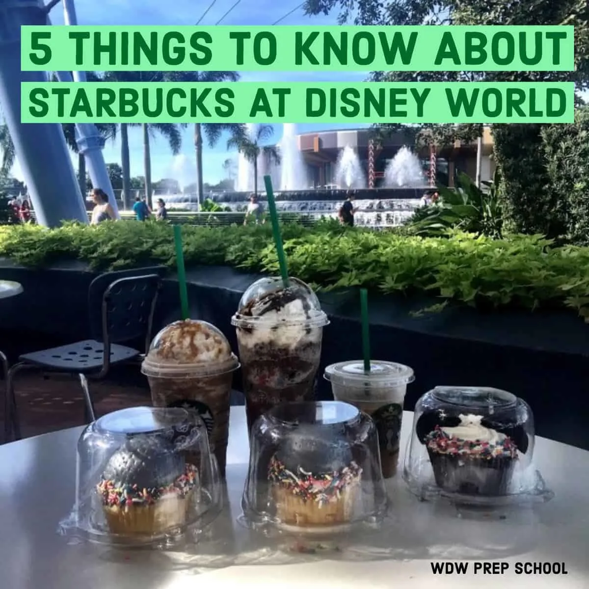 Let’s talk Starbucks at Disney World – PREP166
