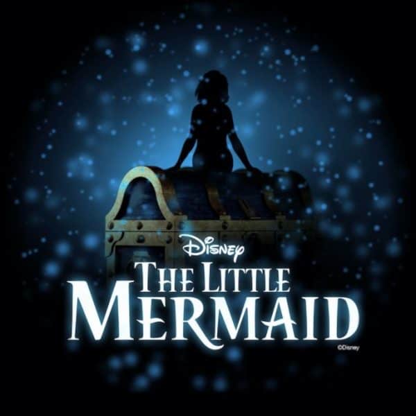 Little Mermaid Disney Wish