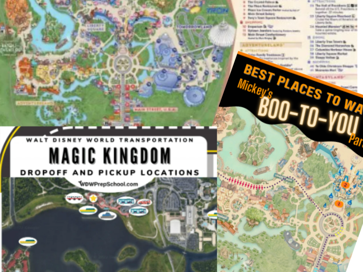 Magic Kingdom maps