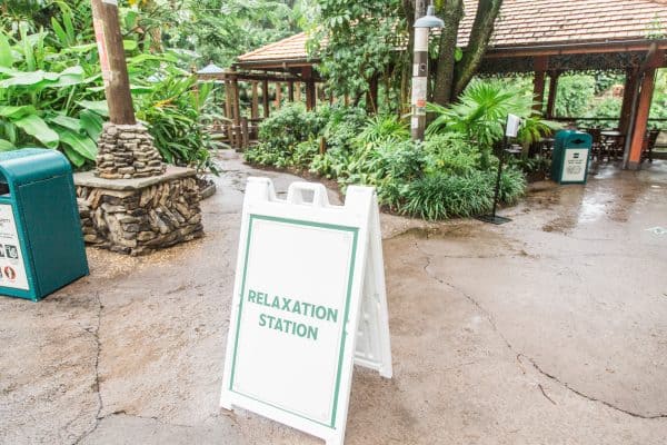 Animal Kingdom Relaxation Station