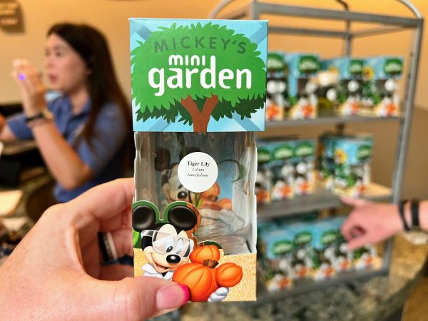 mini garden plant in the land pavilion at epcot
