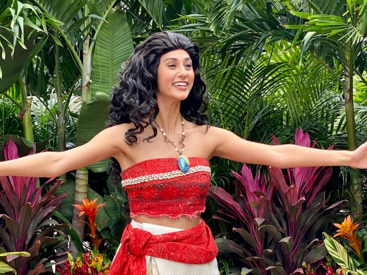 Mirabel and Moana meet & greets coming soon (plus lots more updates)