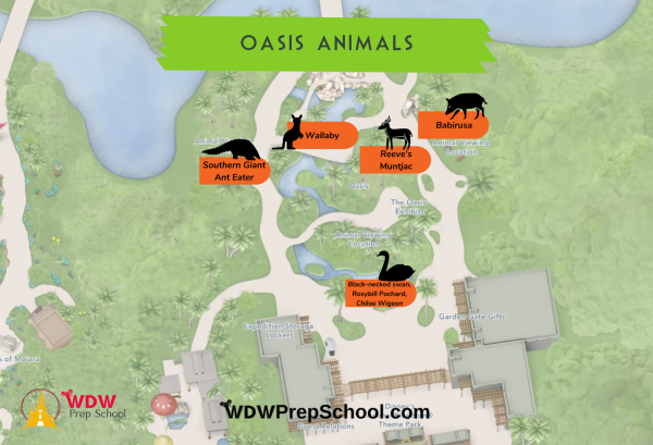 oasis map animal locations animal kingdom