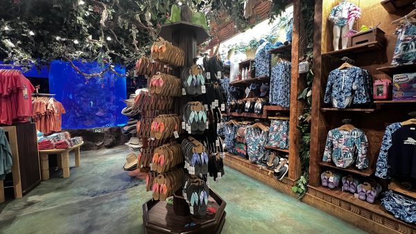 rainforest cafe gift shop animal kingdom