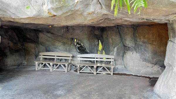 oasis animal kingdom benches cave