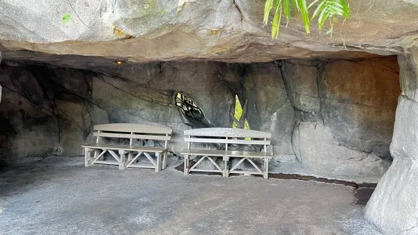 oasis animal kingdom benches cave