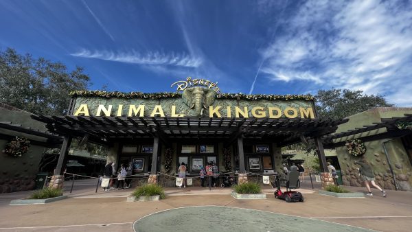 animal kingdom entrance sign